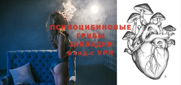 стафф Алзамай