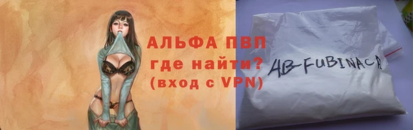 стафф Алзамай