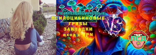 крисы Зерноград