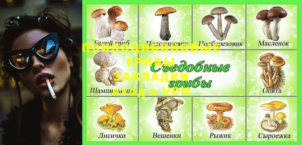 сатива Алексин