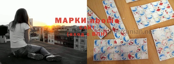 сатива Алексин