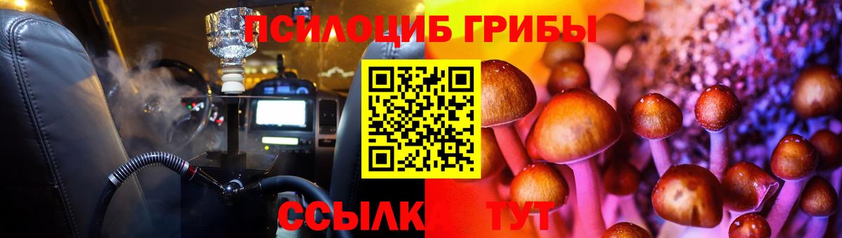 Псилоцибиновые грибы Magic Shrooms  Псилоцибиновые грибы мицелий  где купить наркоту  Серов  Вход с VPN 
